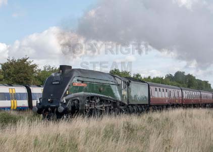 Purchase photo of 60009 UNION OF SOUTH AFRICA at Worting Junction